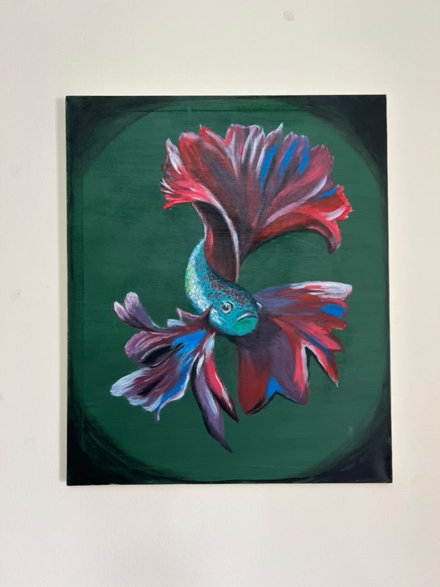 Beta Fish