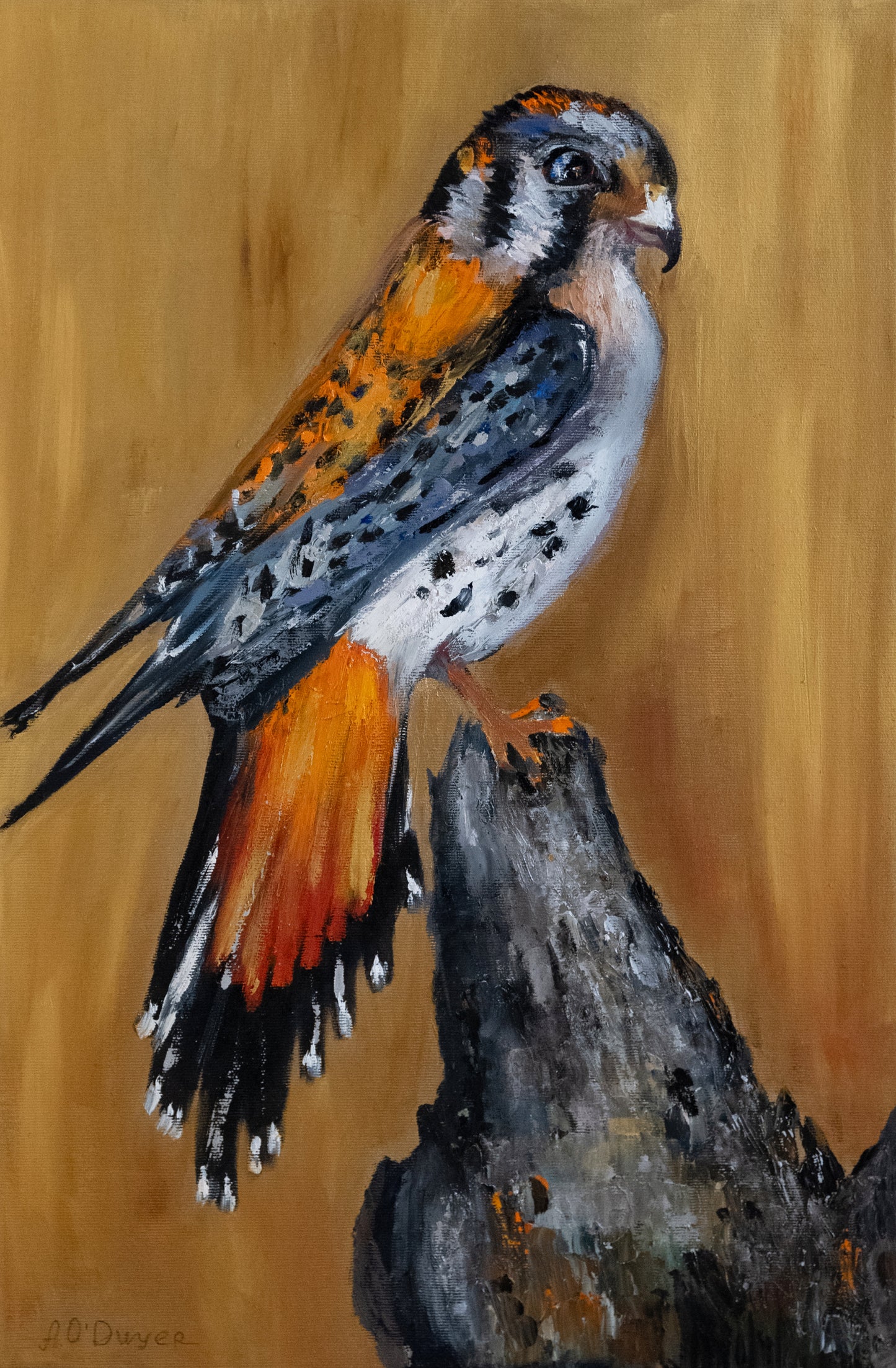 Falcon