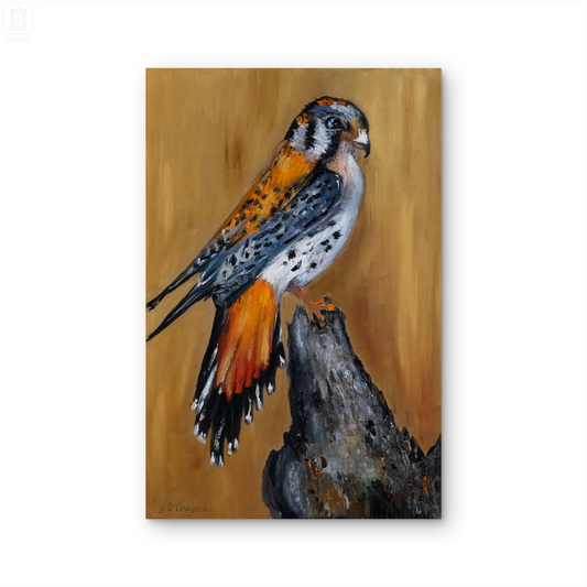 Falcon