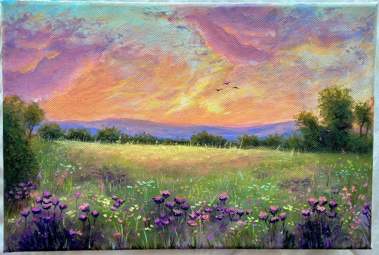 Meadow of Dreams