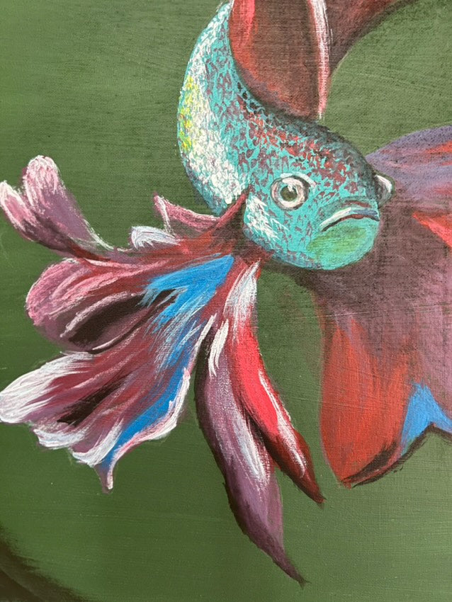 Beta Fish