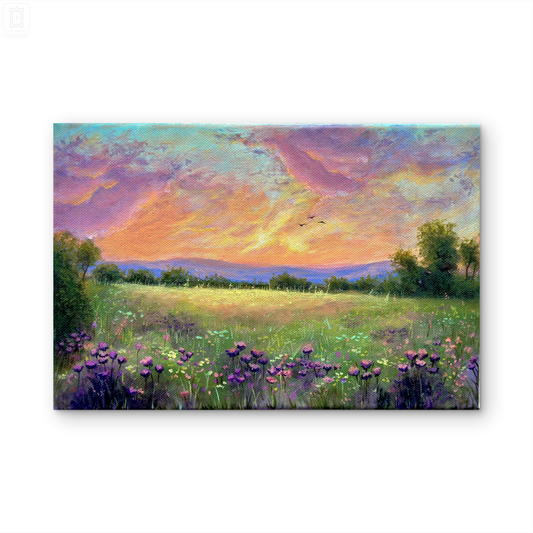 Meadow of Dreams